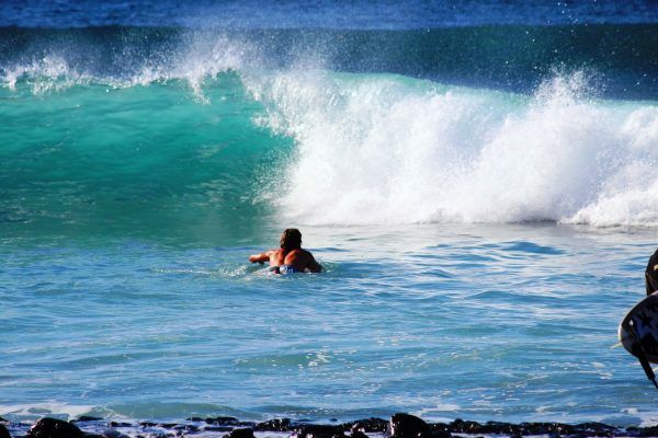 Manihi Surf Trips Hotel Bitacora
